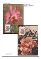 http://www.theipps.info/exhibits/HansWernerBecker/Maxicards/tn_frame02-page08.jpg
