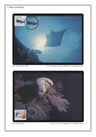 http://www.theipps.info/exhibits/HansWernerBecker/Maxicards/tn_frame03-page07.jpg